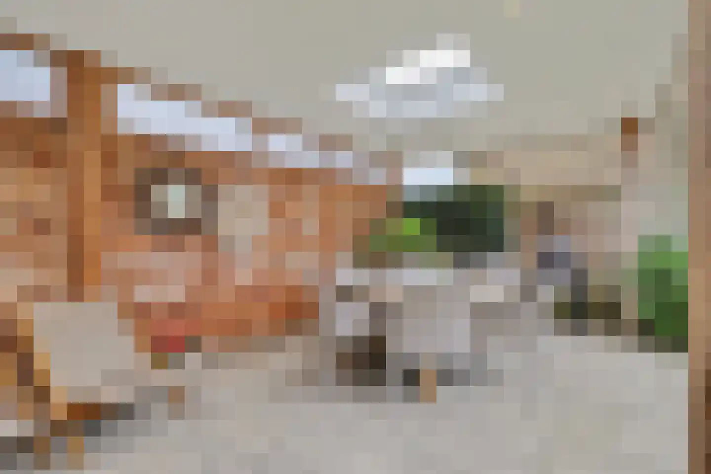 Goudsmidstraat 7 Venray thumbnail 38