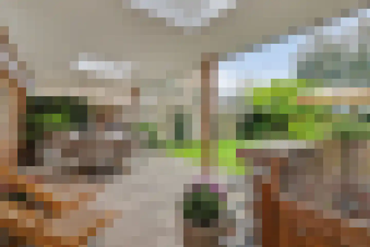 Goudsmidstraat 7 Venray thumbnail 39
