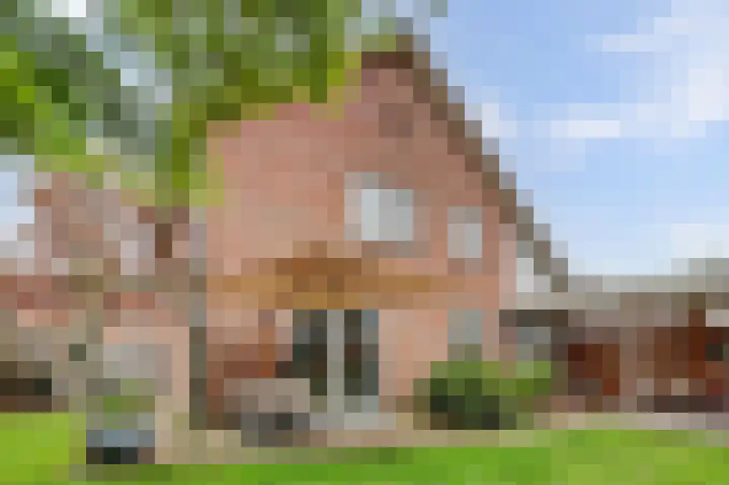 Goudsmidstraat 7 Venray thumbnail 41