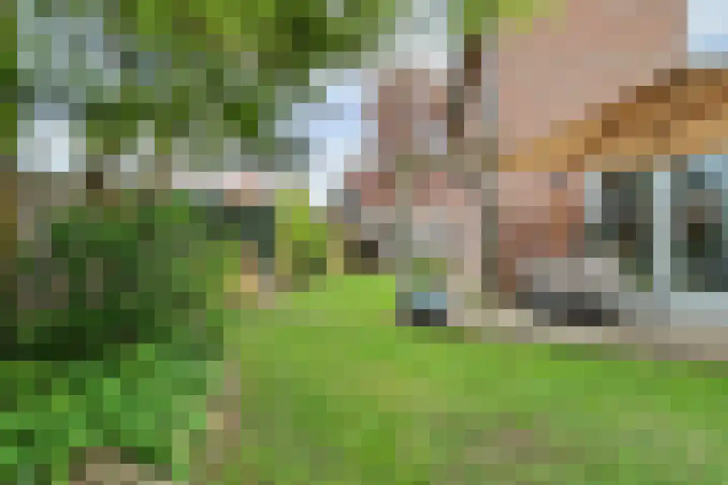 Goudsmidstraat 7 Venray thumbnail 42