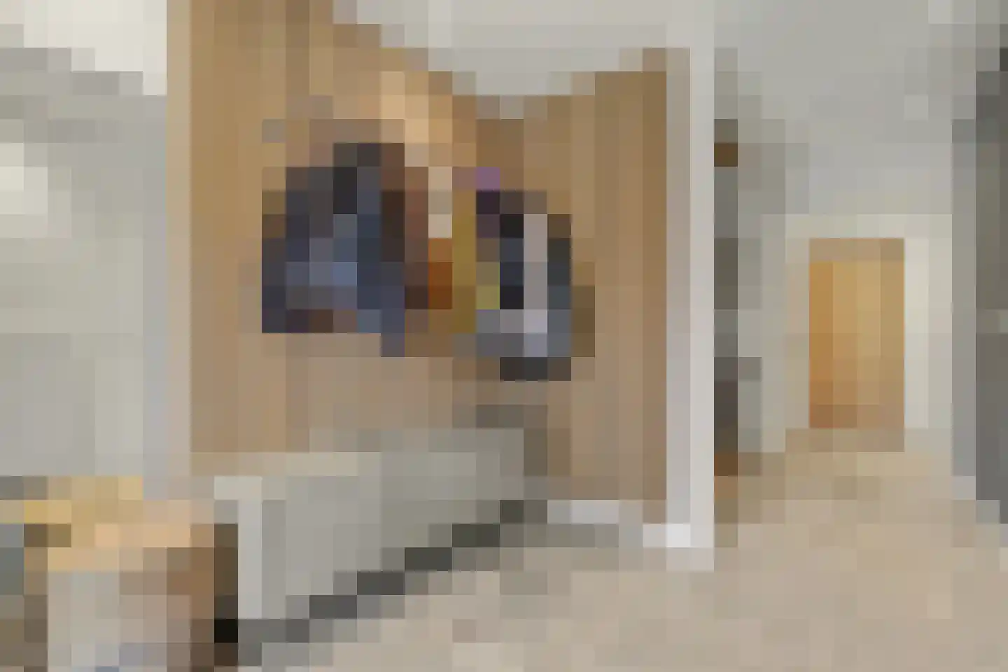 Goudsmidstraat 7 Venray thumbnail 5