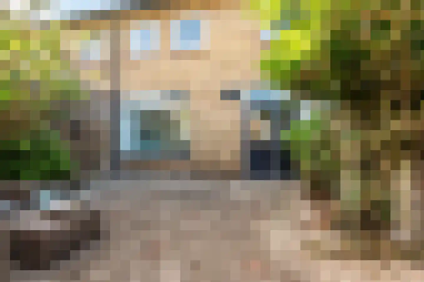 Goudstraat 46 Apeldoorn thumbnail 13