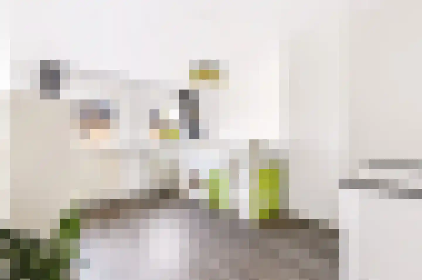 Goudstraat 46 Apeldoorn thumbnail 8
