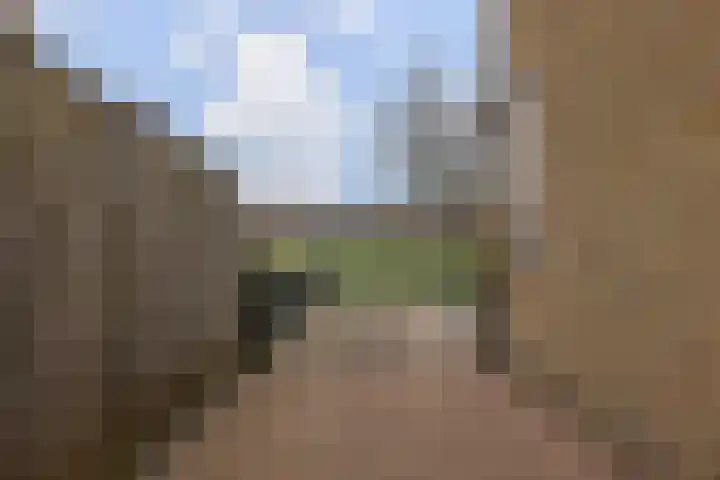 Goudtsjeblom-strjitte 28 Kootstertille thumbnail 31