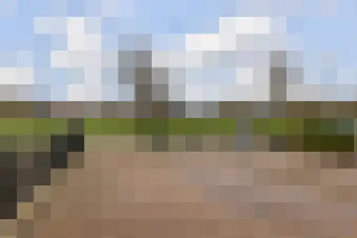 Goudtsjeblom-strjitte 28 Kootstertille thumbnail 32