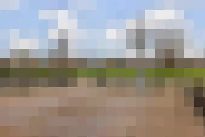 Goudtsjeblom-strjitte 28 Kootstertille thumbnail 33