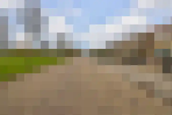Goudtsjeblom-strjitte 28 Kootstertille thumbnail 34