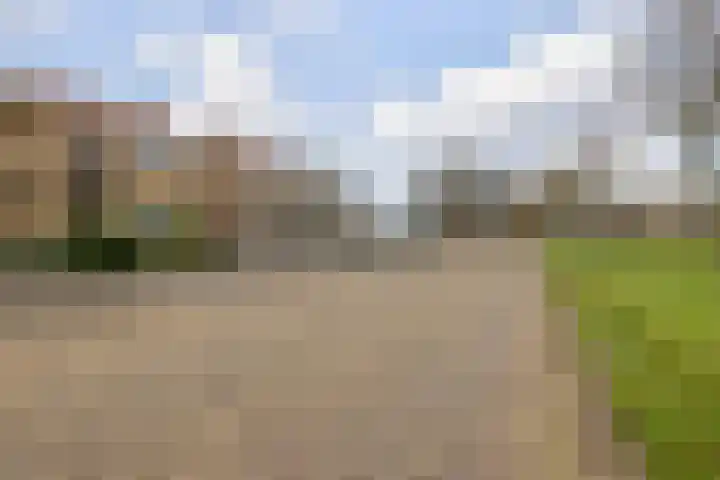 Goudtsjeblom-strjitte 28 Kootstertille thumbnail 5