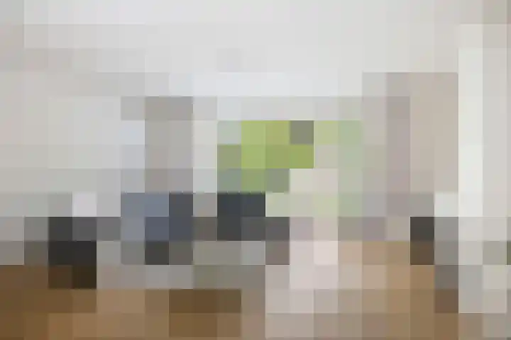 Goudveil 15 Twello thumbnail 10