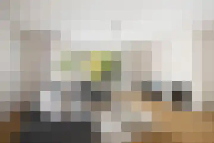 Goudveil 15 Twello thumbnail 11