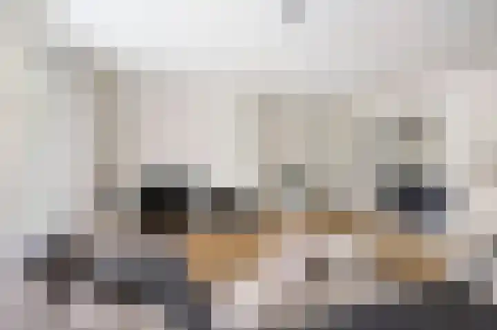 Goudveil 15 Twello thumbnail 12