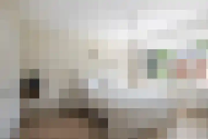 Goudveil 15 Twello thumbnail 17