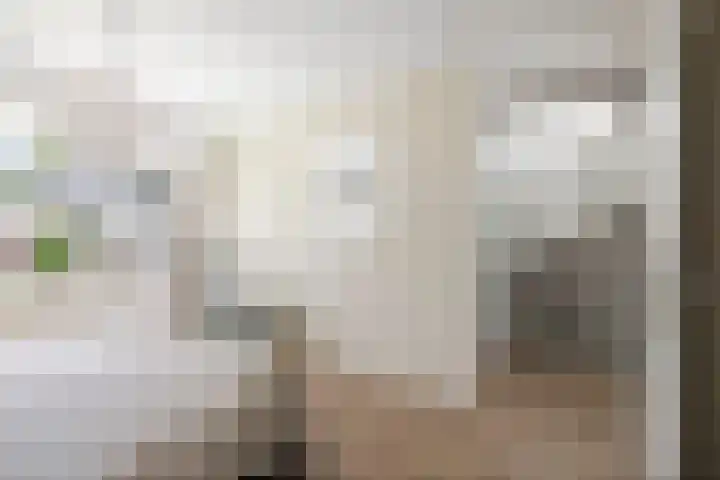 Goudveil 15 Twello thumbnail 18