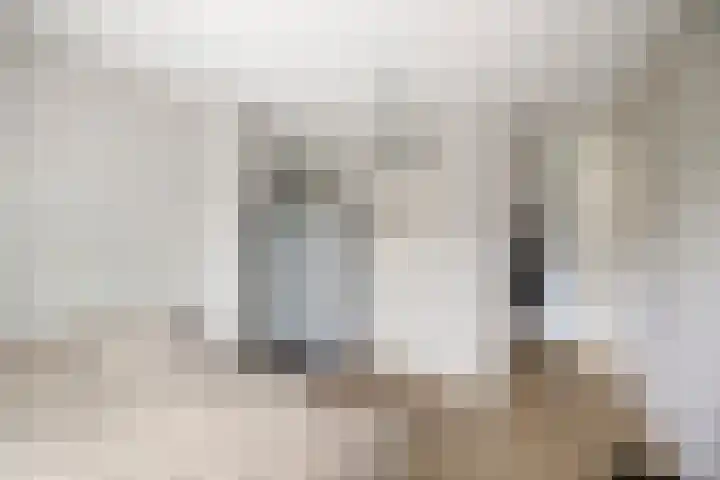 Goudveil 15 Twello thumbnail 20