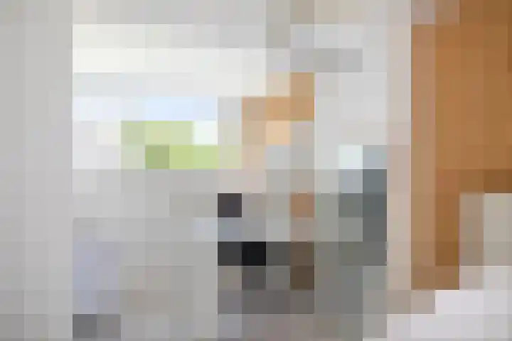 Goudveil 15 Twello thumbnail 27