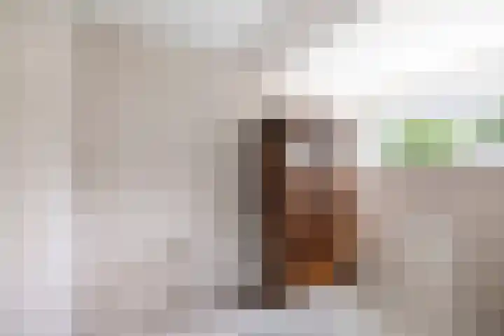 Goudveil 15 Twello thumbnail 28
