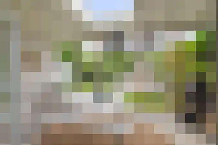 Goudveil 15 Twello thumbnail 29