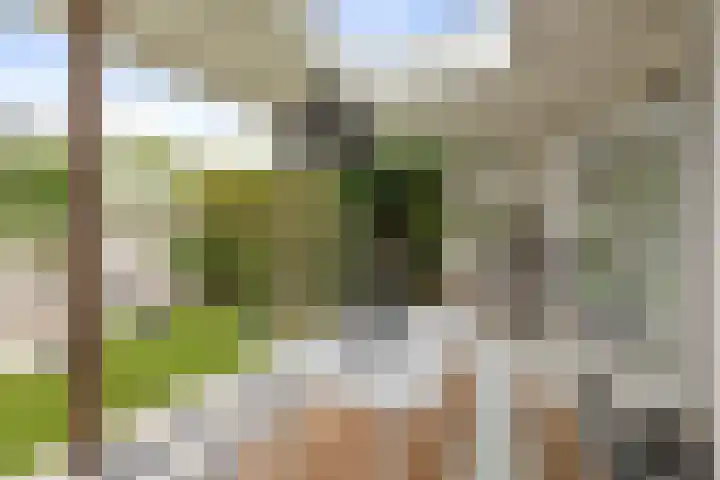 Goudveil 15 Twello thumbnail 30