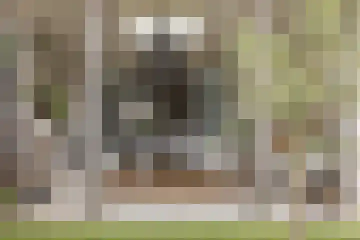 Goudveil 15 Twello thumbnail 31