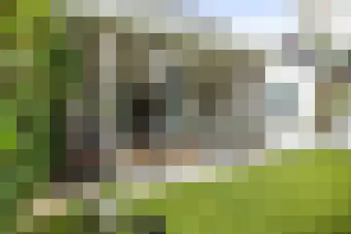 Goudveil 15 Twello thumbnail 32