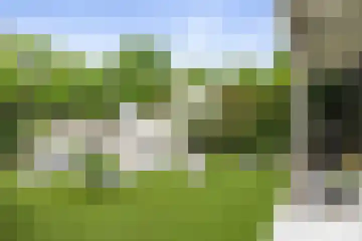 Goudveil 15 Twello thumbnail 33