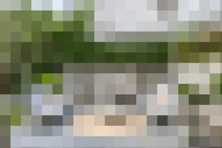 Goudveil 15 Twello thumbnail 34
