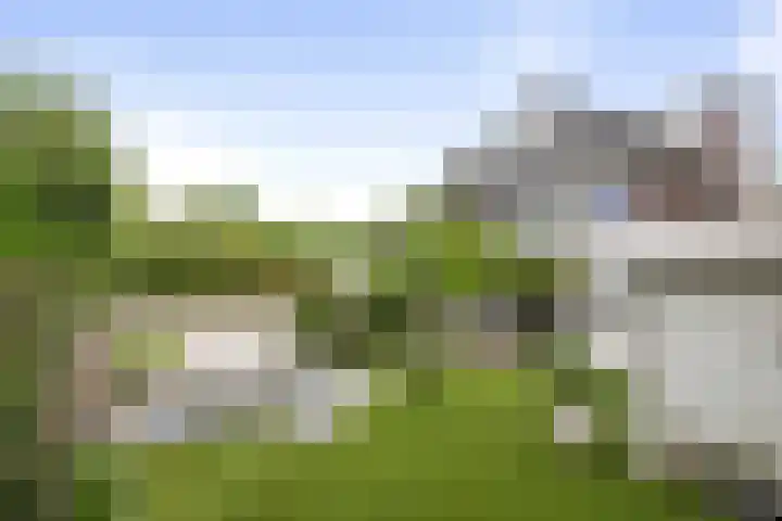 Goudveil 15 Twello thumbnail 35