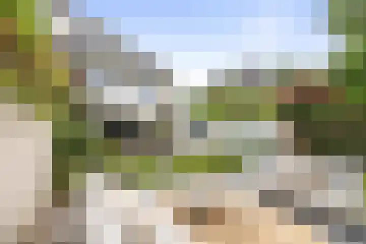 Goudveil 15 Twello thumbnail 36