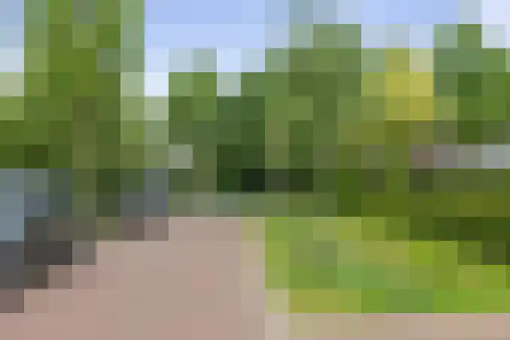 Goudveil 15 Twello thumbnail 37