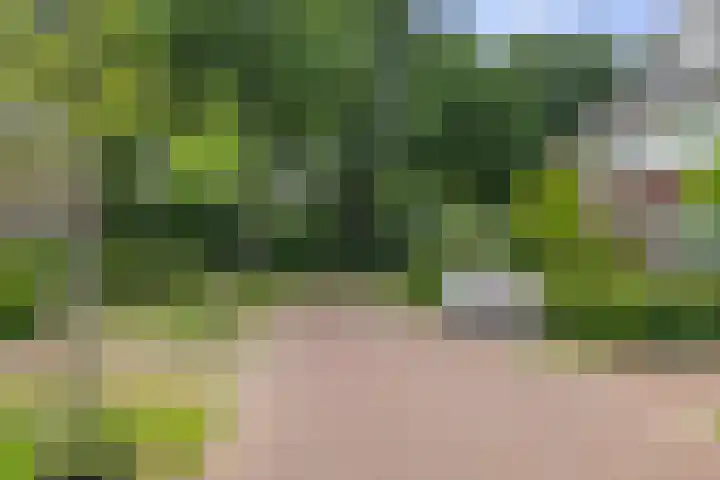 Goudveil 15 Twello thumbnail 38
