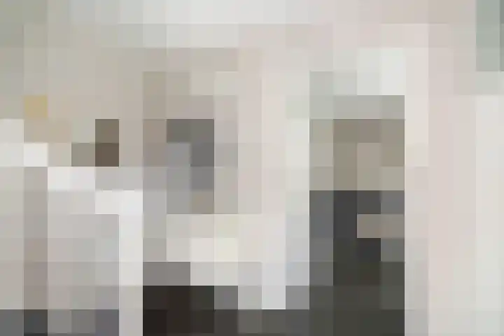 Goudveil 15 Twello thumbnail 4