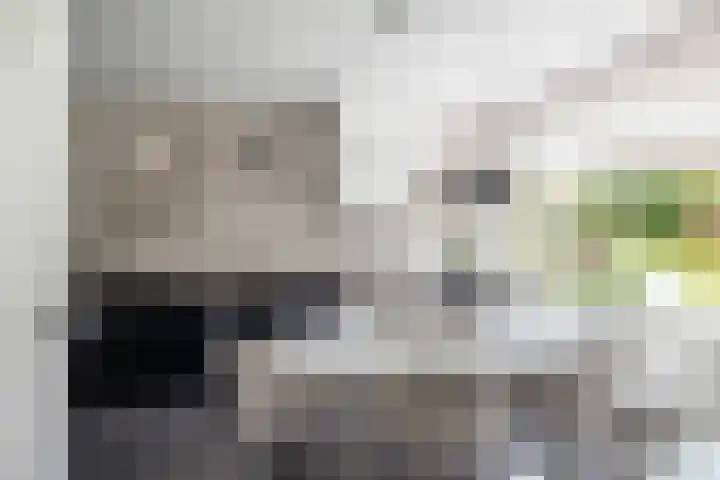 Goudveil 15 Twello thumbnail 6