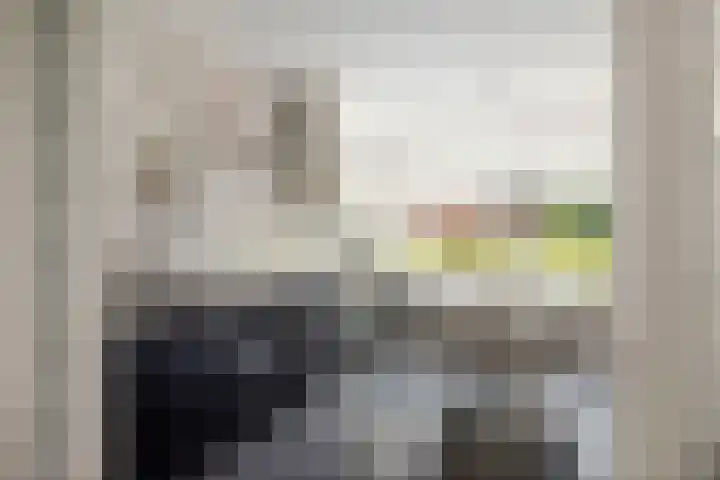 Goudveil 15 Twello thumbnail 7
