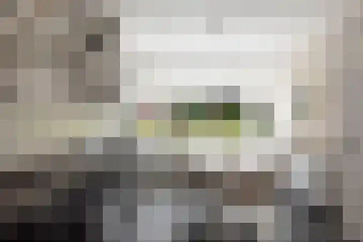 Goudveil 15 Twello thumbnail 8