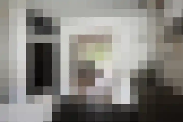 Goudveil 15 Twello thumbnail 9