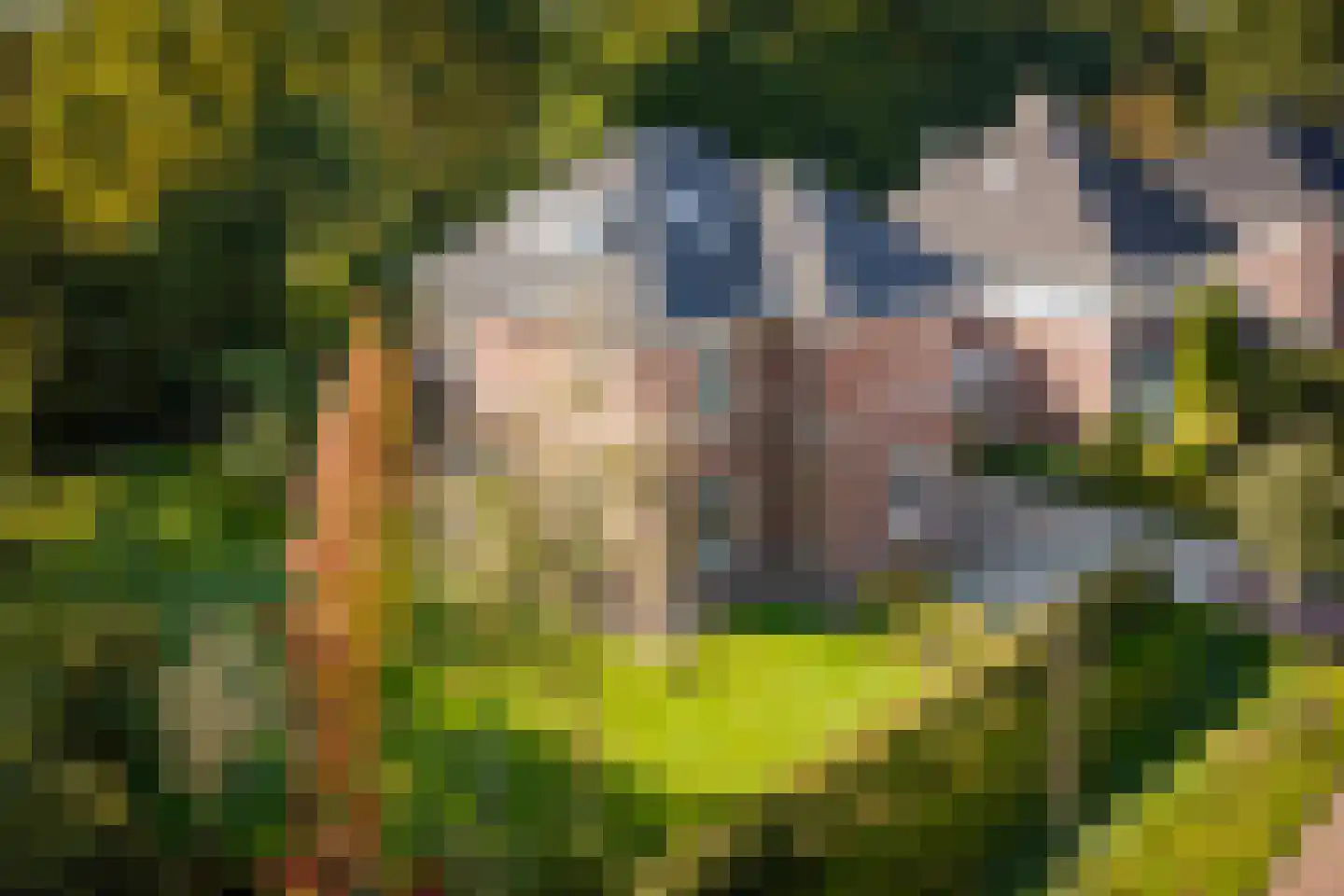 Goudveil 8 Twello