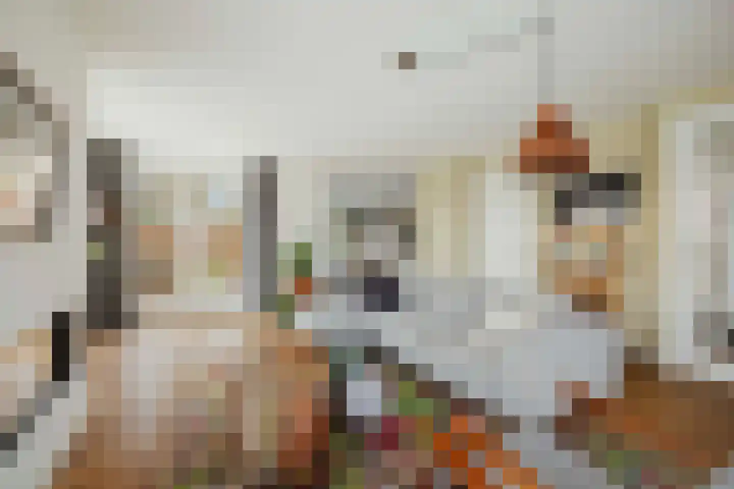 Goudveil 8 Twello thumbnail 10