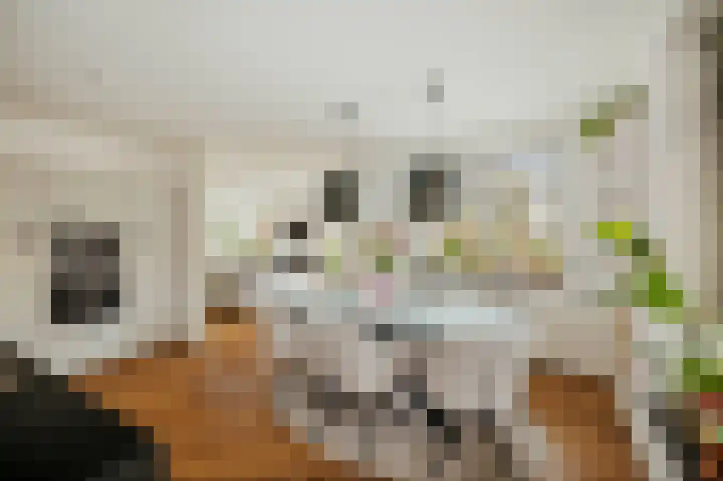 Goudveil 8 Twello thumbnail 13