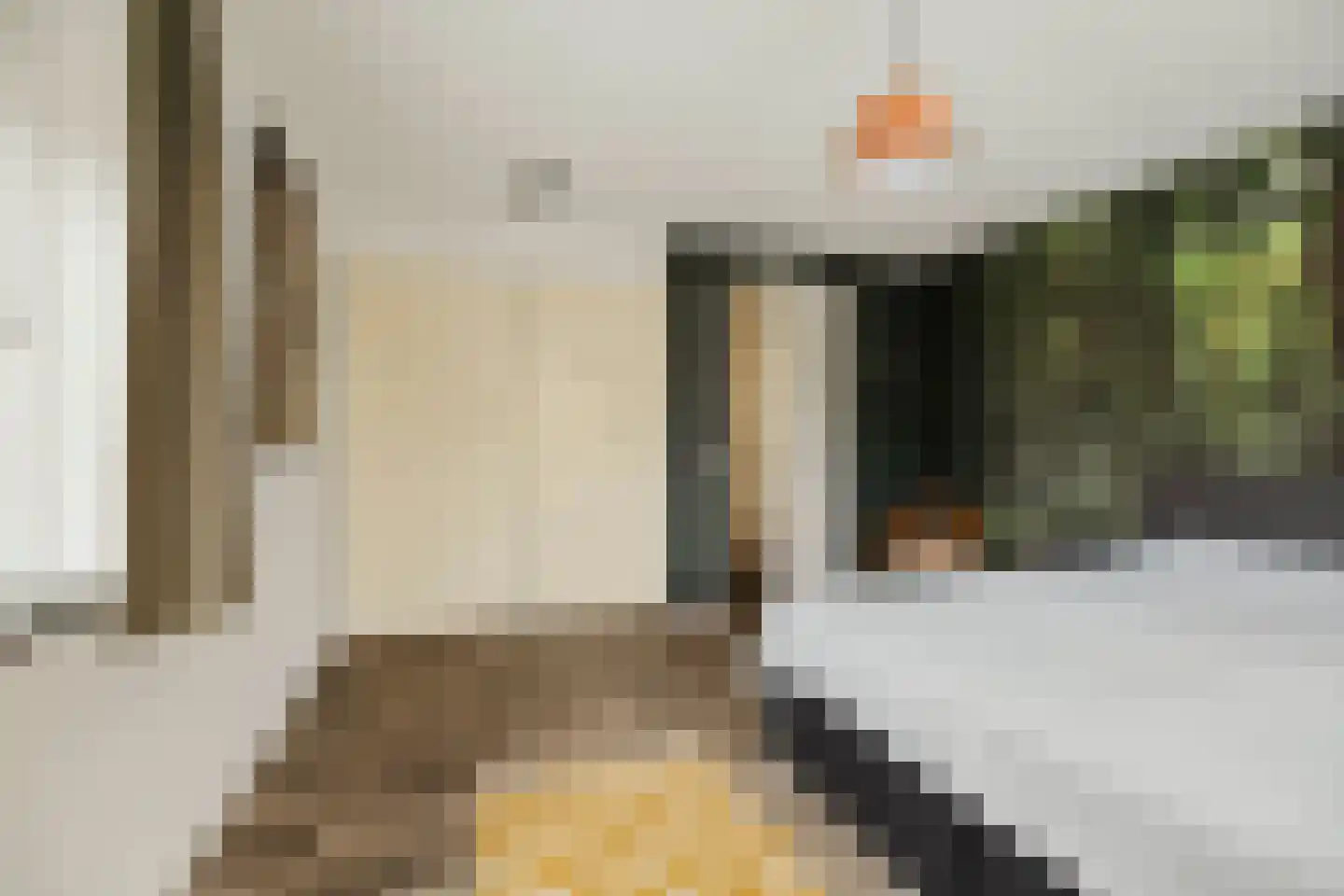 Goudveil 8 Twello thumbnail 21