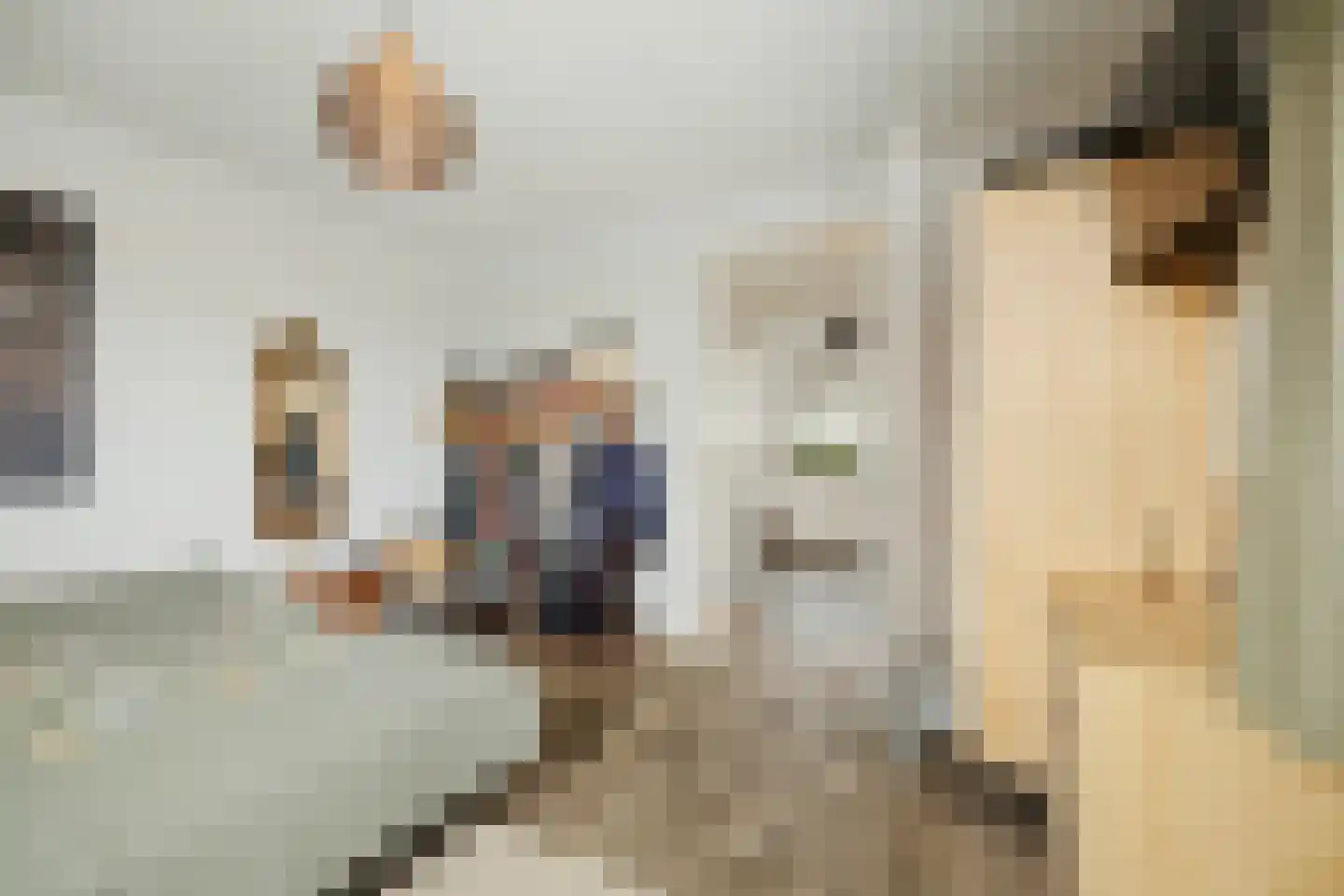 Goudveil 8 Twello thumbnail 24