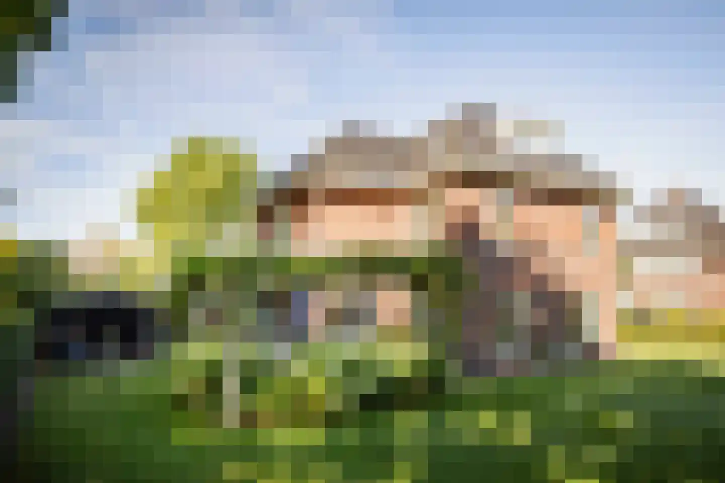 Goudveil 8 Twello thumbnail 31