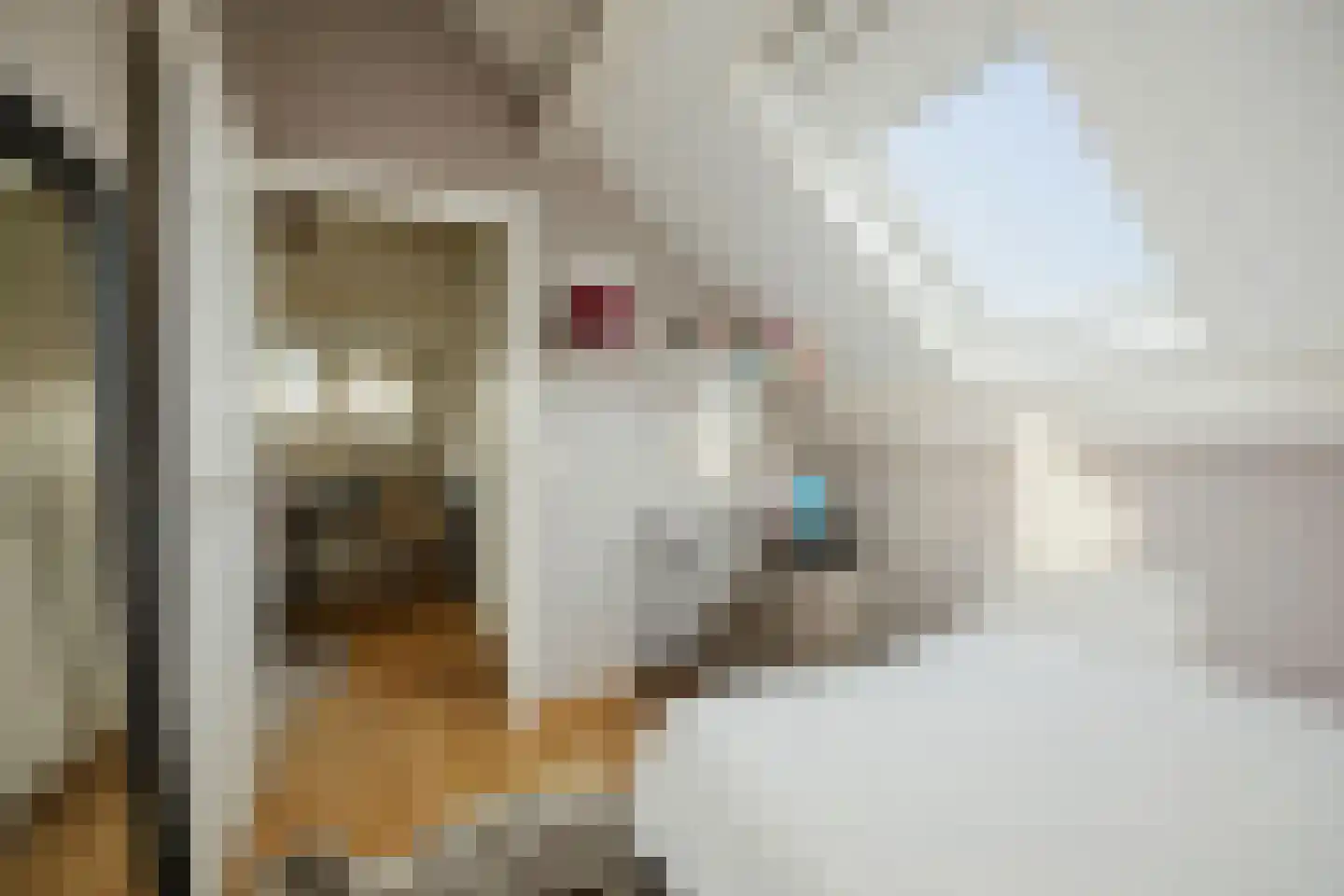 Goudveil 8 Twello thumbnail 35