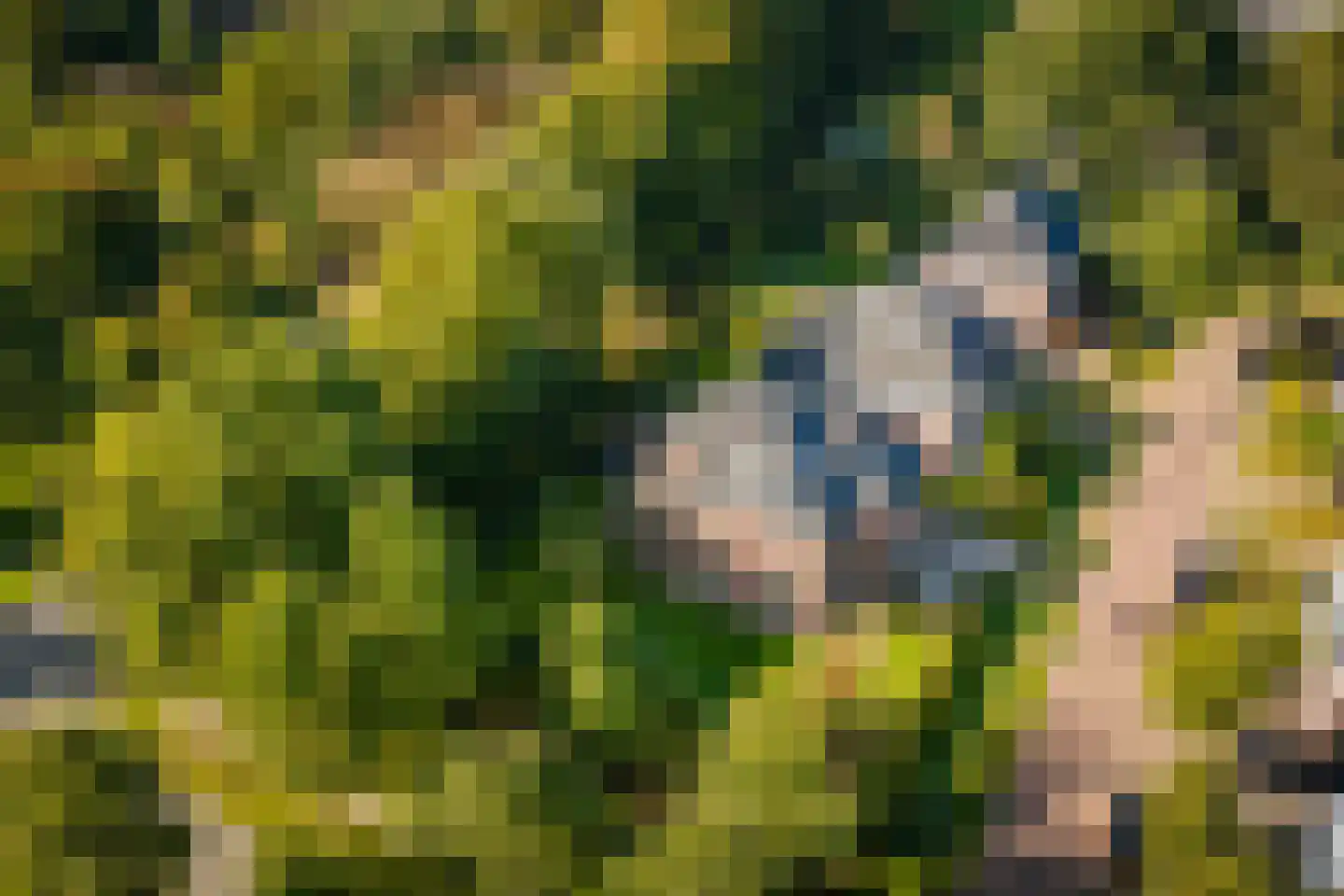 Goudveil 8 Twello thumbnail 39