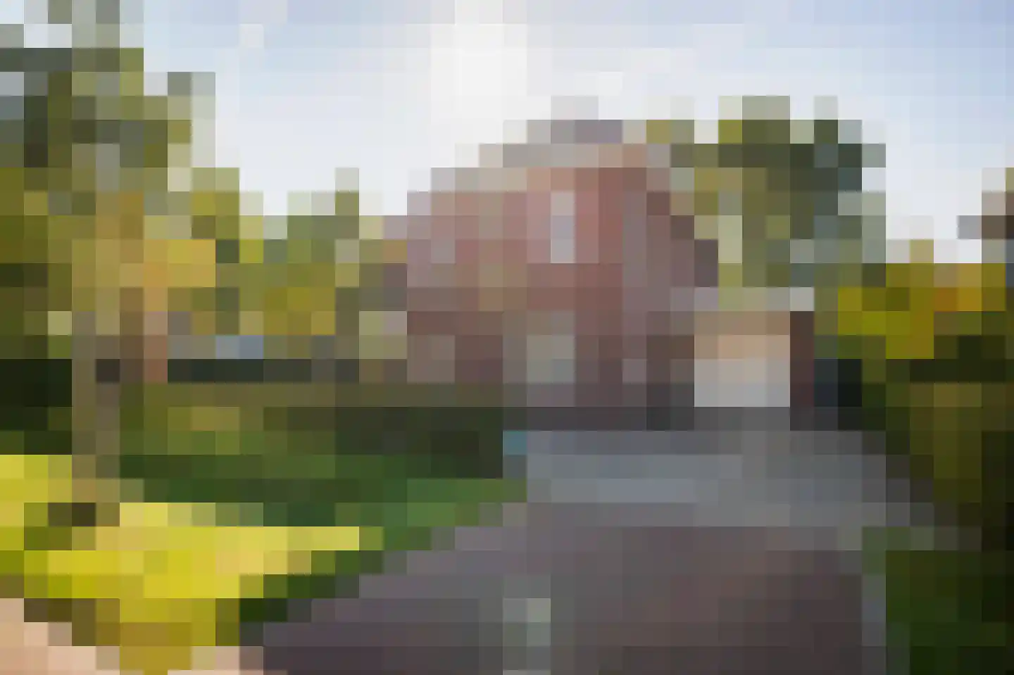 Goudveil 8 Twello thumbnail 4