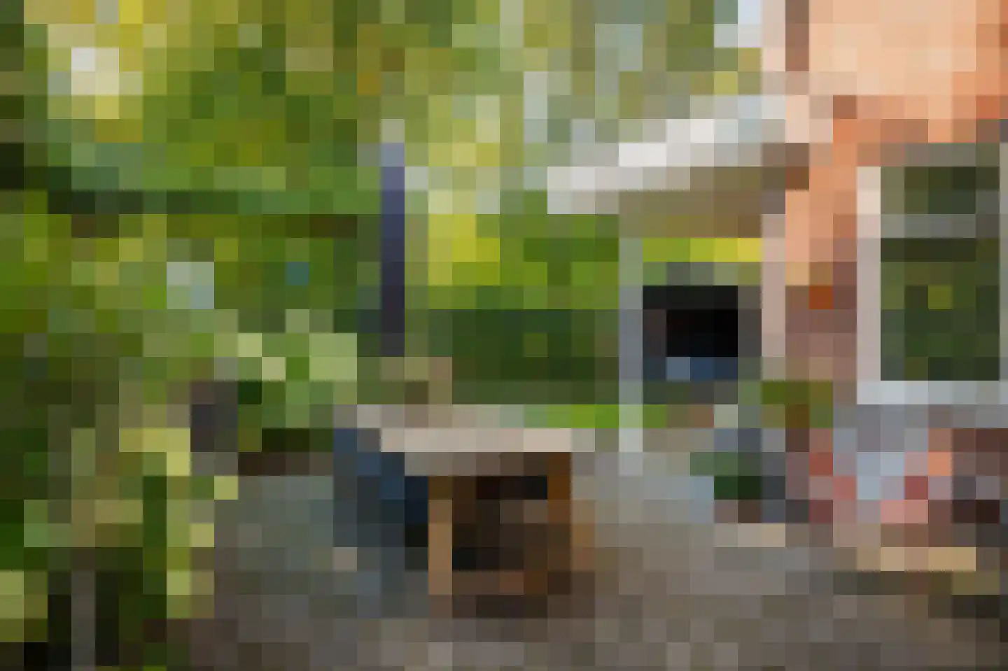 Goudveil 8 Twello thumbnail 43