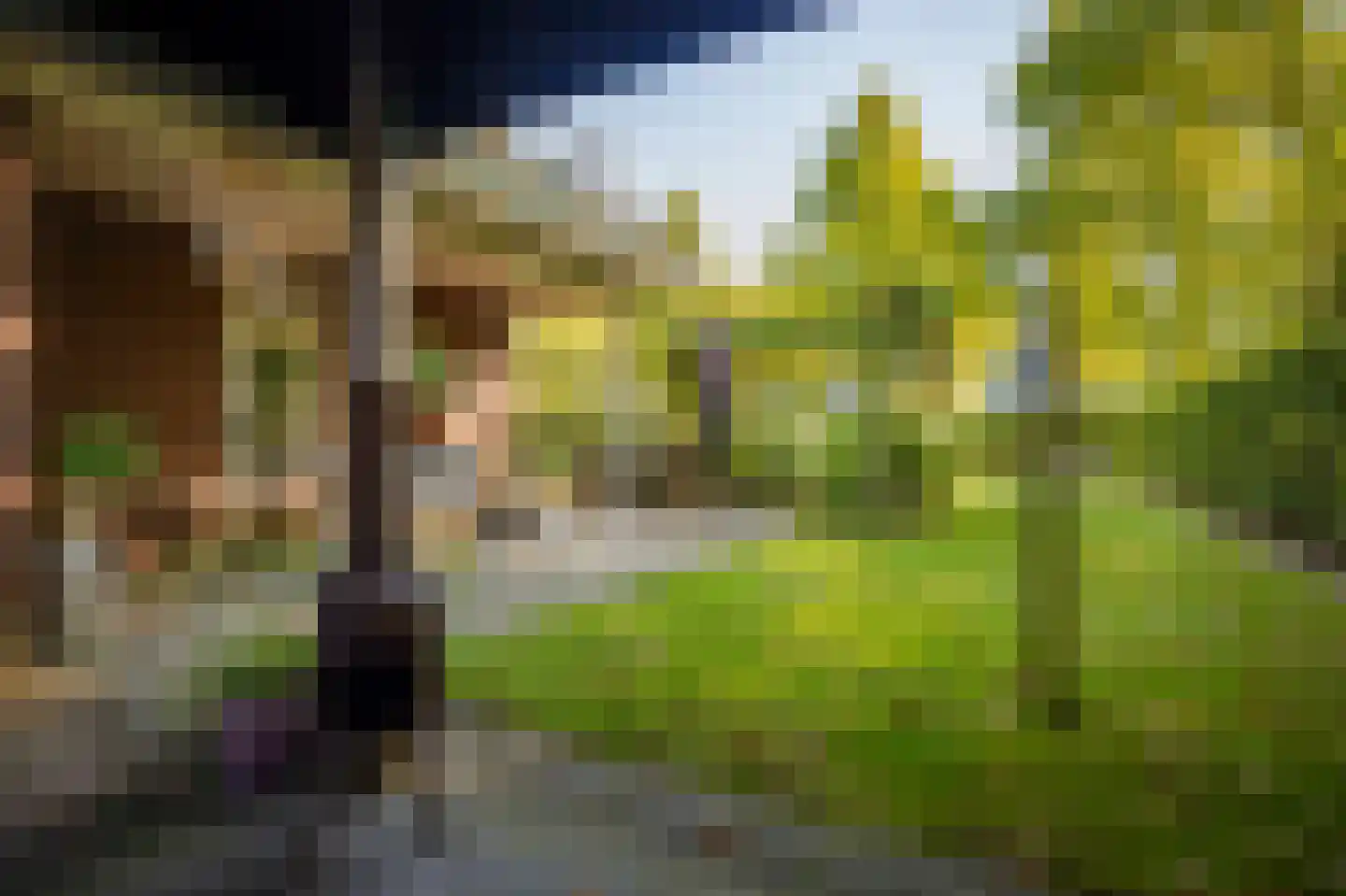 Goudveil 8 Twello thumbnail 47