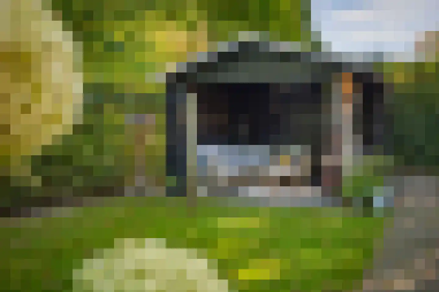 Goudveil 8 Twello thumbnail 48