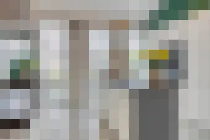 Goudveilstraat 18 Rosmalen thumbnail 19