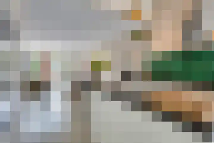 Goudveilstraat 18 Rosmalen thumbnail 20