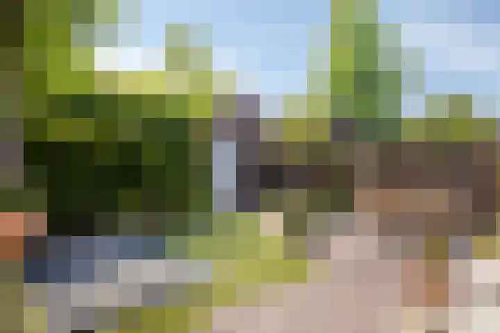 Goudveilstraat 18 Rosmalen thumbnail 34